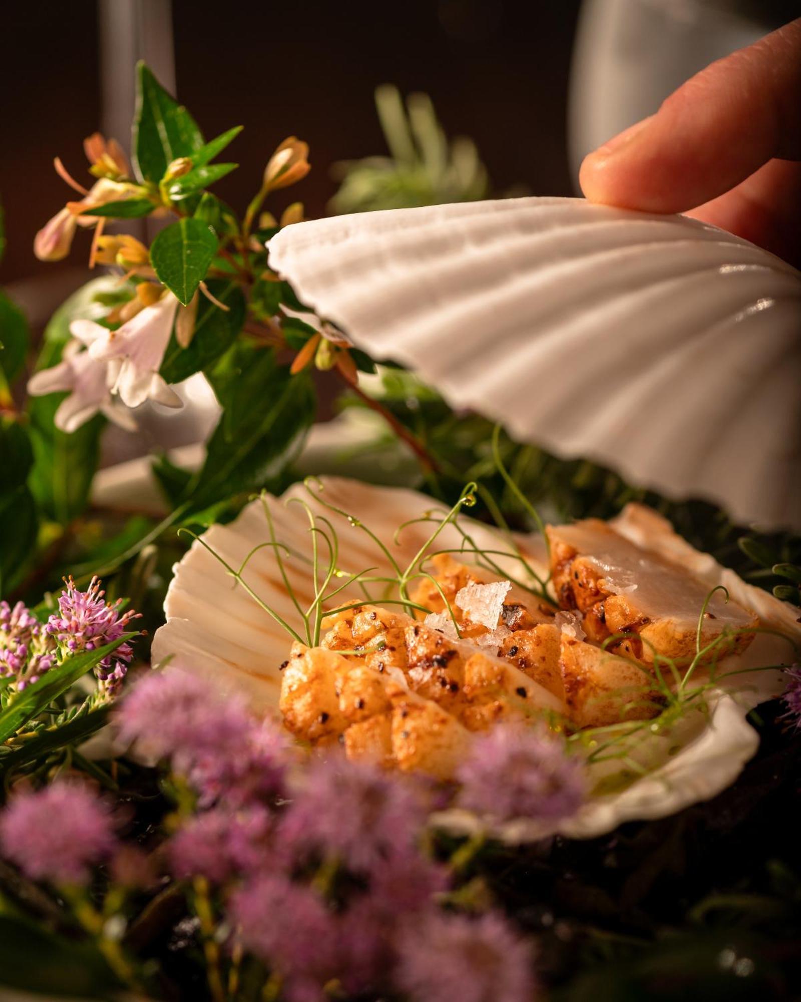 Palm House Boutique And Hotel Cape Town
