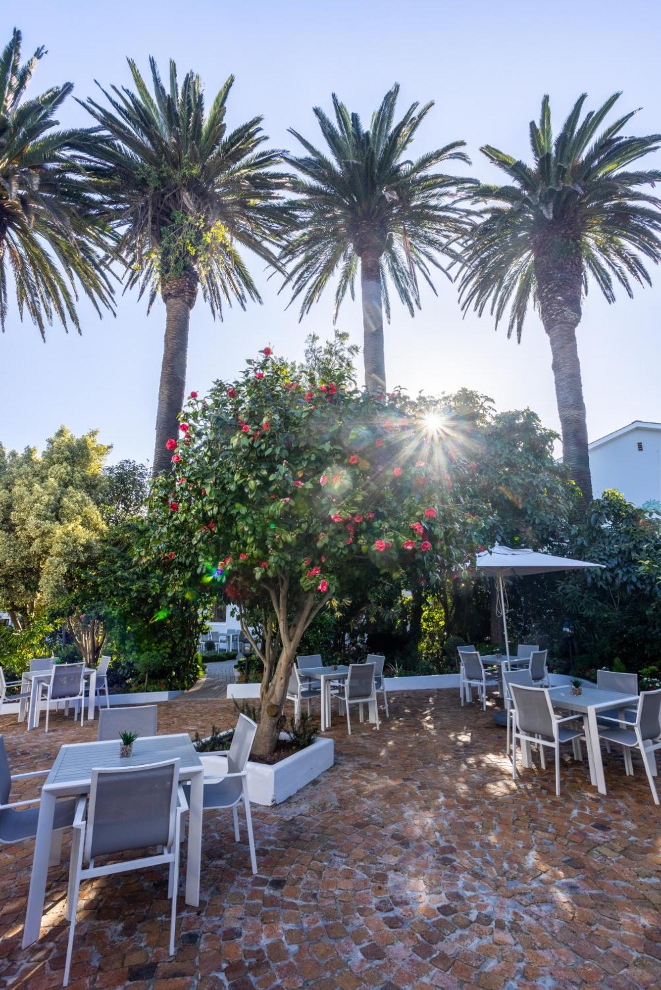 Hotel Palm House Boutique And Cape Town